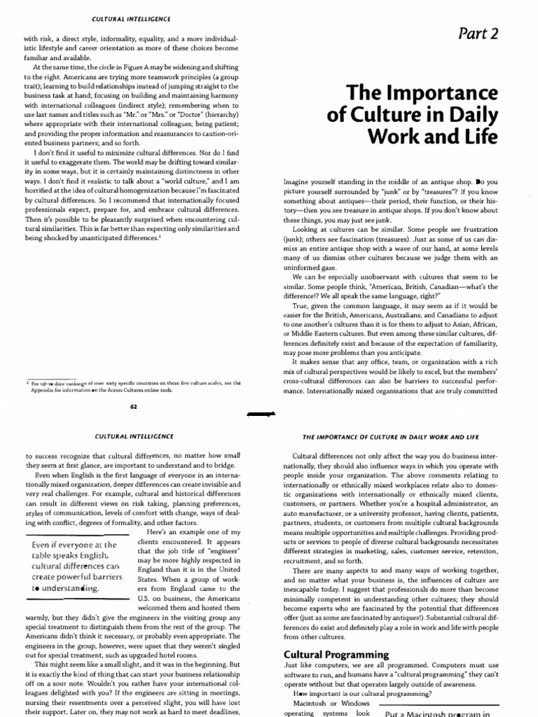 Peterson Cultural Intelligence Part 2 | PDF