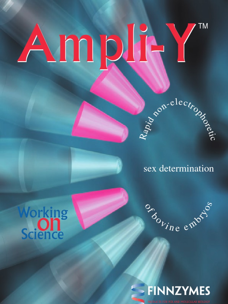 Finnzymes Ampli-Y | PDF | Agarose Gel Electrophoresis | Polymerase ...