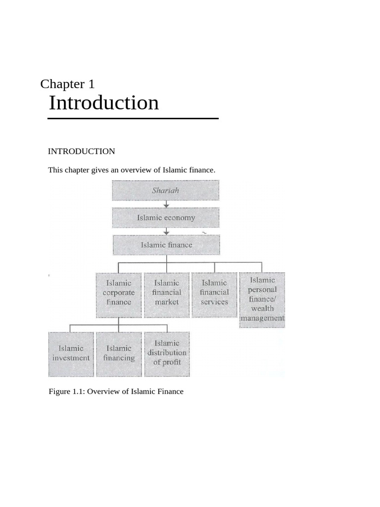 Overview of Islamic Finance Principles | PDF | Islamic Banking And ...