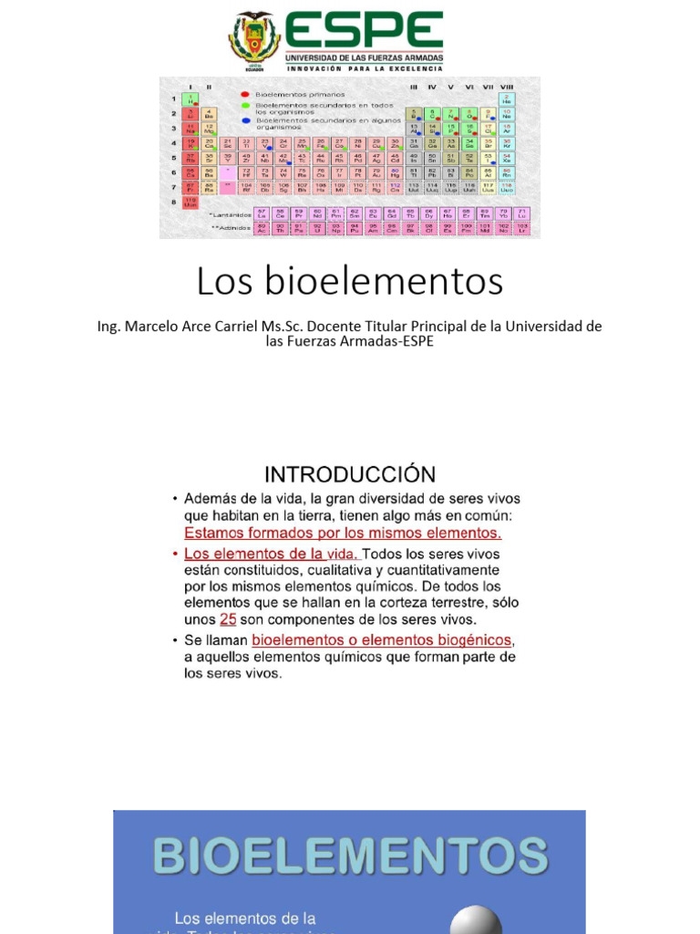 Clase 1 II Los Bioelementos | PDF