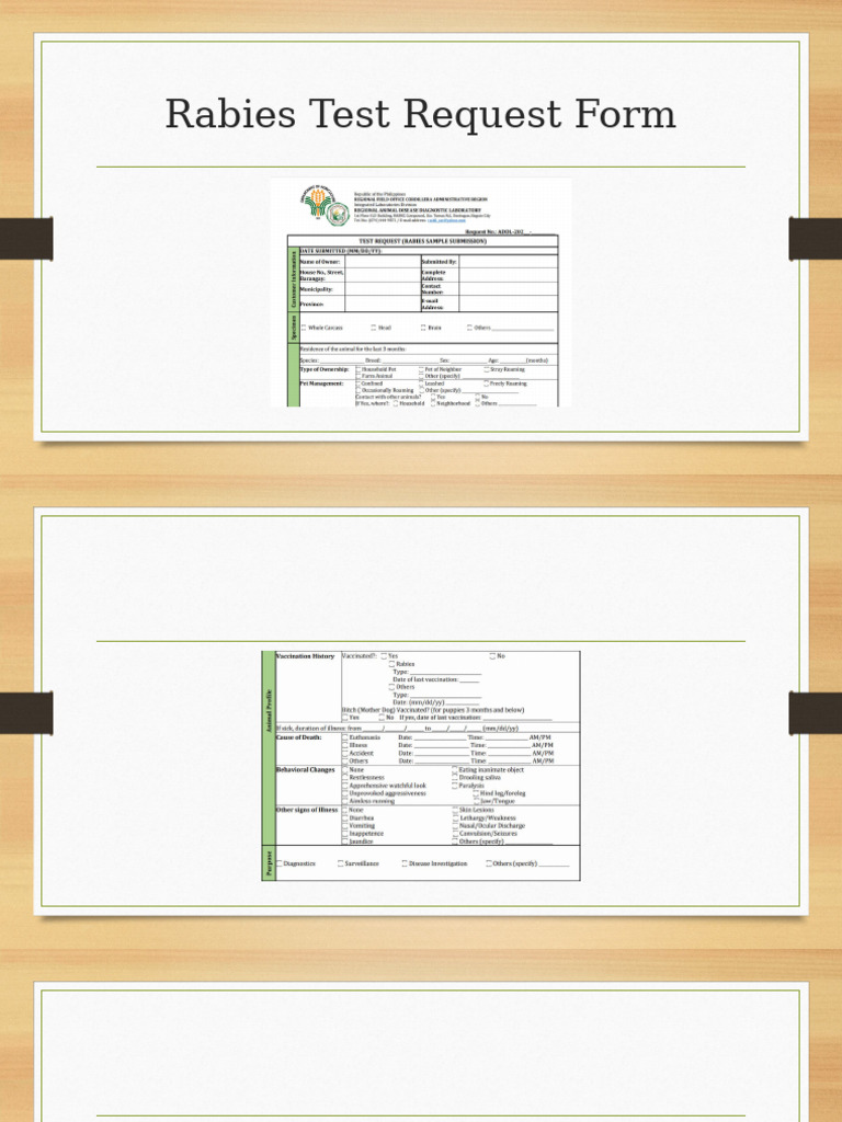 Rabies Test Submission Guidelines 2024 | PDF