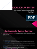 MicroAnat CardiovascularSystem TheHeart