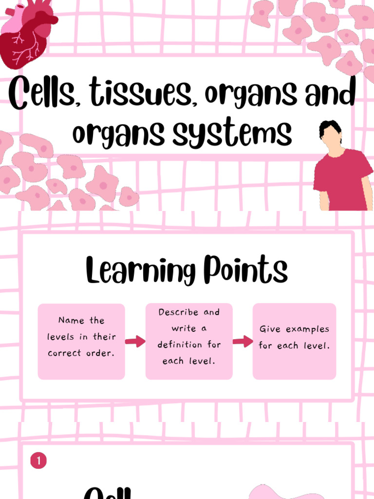 Cells, Tissues and Organs | PDF