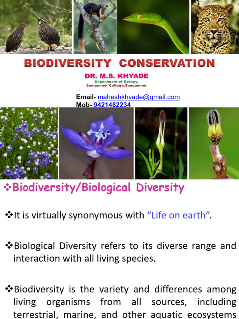 Understanding Biodiversity in India | PDF | Biodiversity | Conservation ...