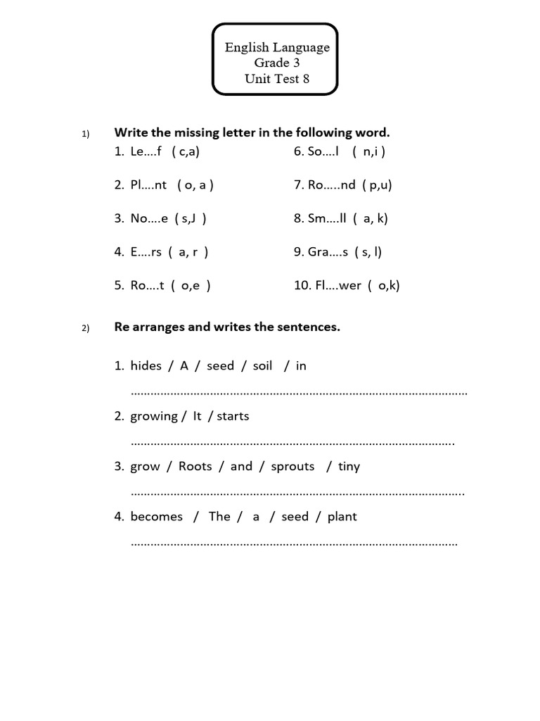 Grade 3 English Unit Test 8 | PDF