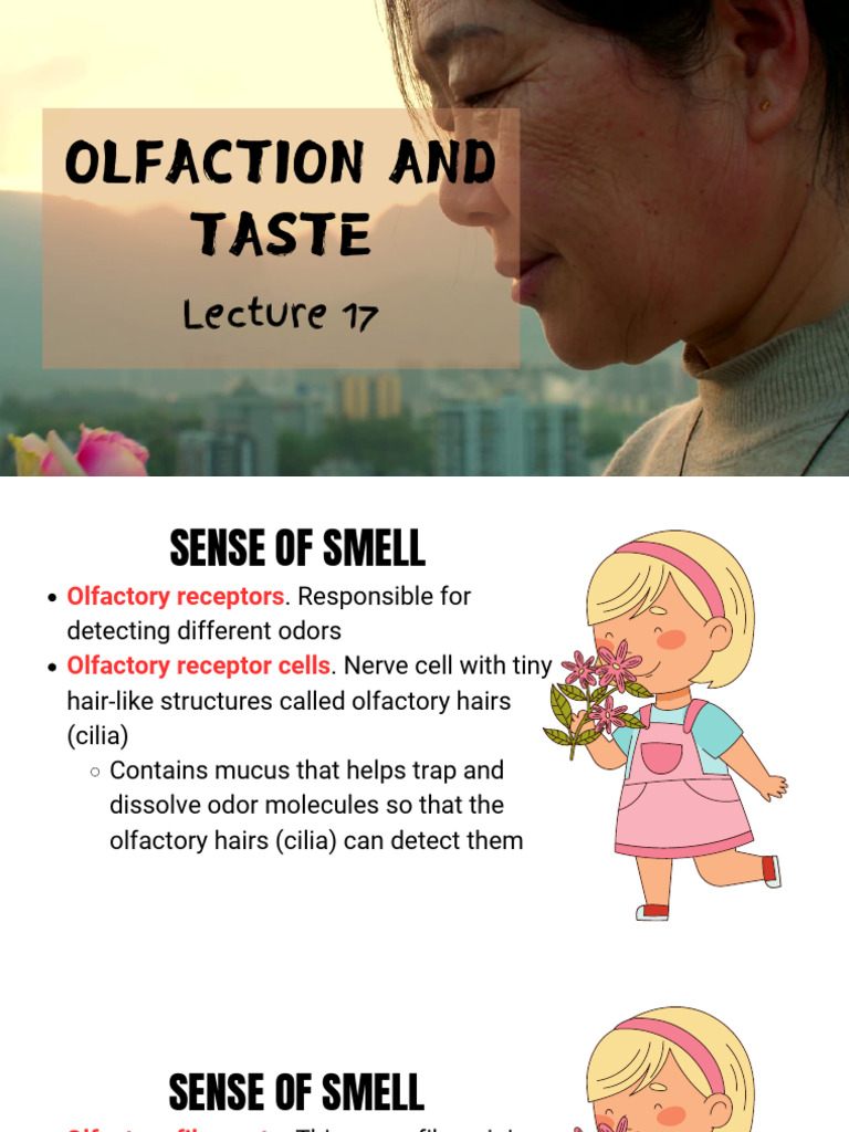 Understanding Olfaction and Taste | PDF