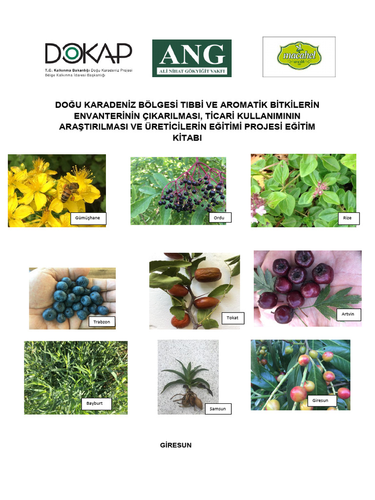 Tibbi Ve Aomatik Bitkiler Projesi Egitim Kitabi 2017 PDF 242110 RD - 35 ...