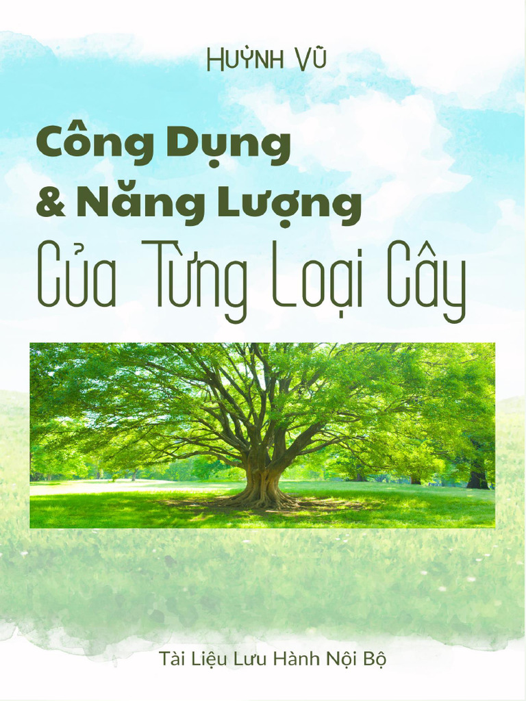Năng Lư NG Và Công D NG C A T NG Lo I Cây Phong TH y | PDF