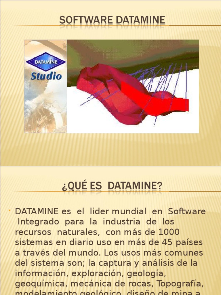 Software Datamine para la Minería | PDF | Minería | Planificación