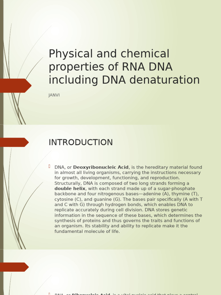 Properties of DNA and RNA Explained | PDF | Rna | Dna