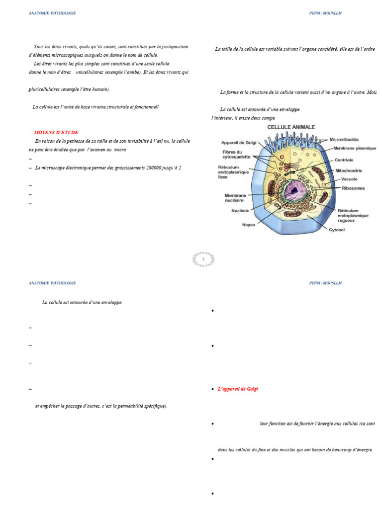 Anatomie et physiologie de la cellule | PDF | Épithélium | Cytoplasme