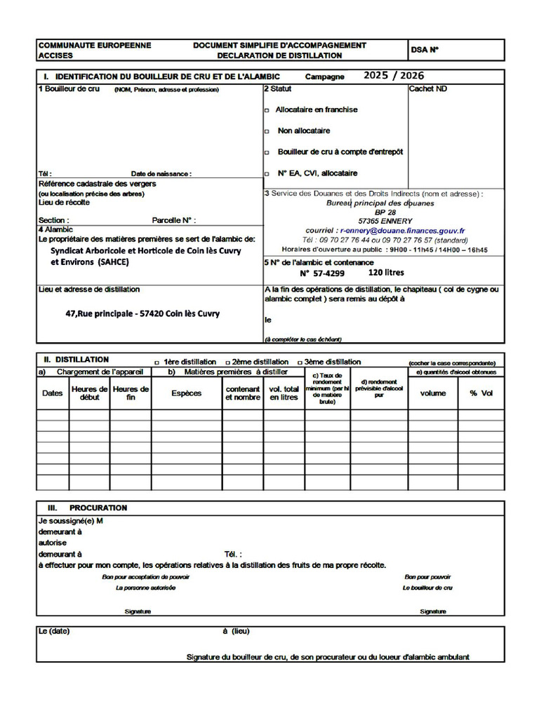 Formulaire Nouveau DSA 2025 2026 | PDF