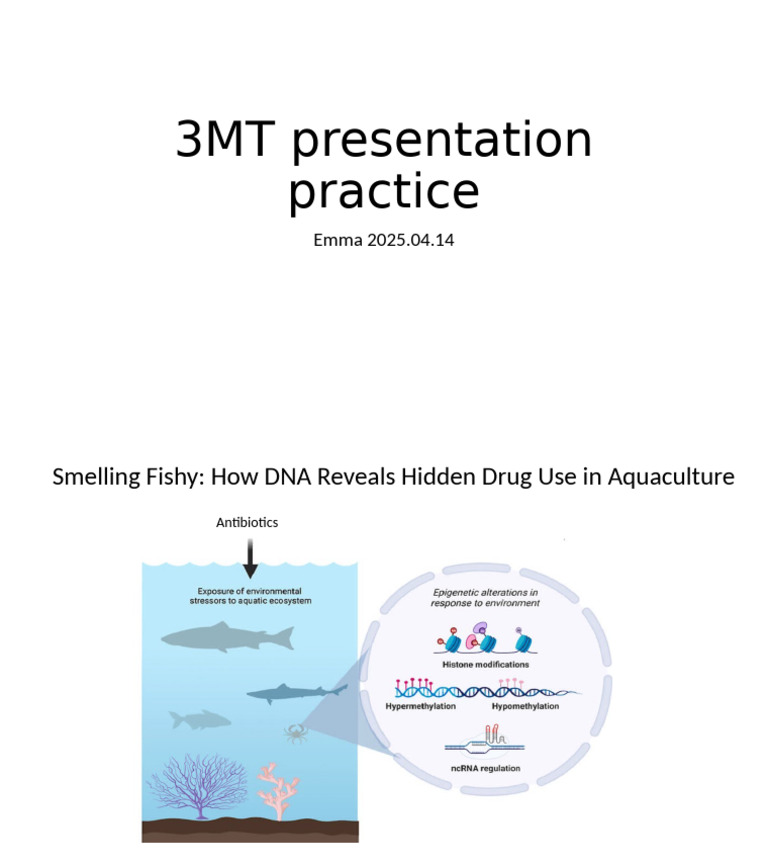 3MT Presentation Practice | PDF