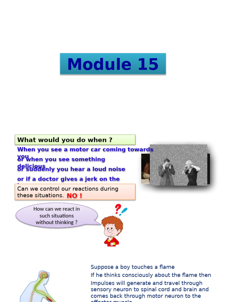 CH 7 Module 15 | PDF
