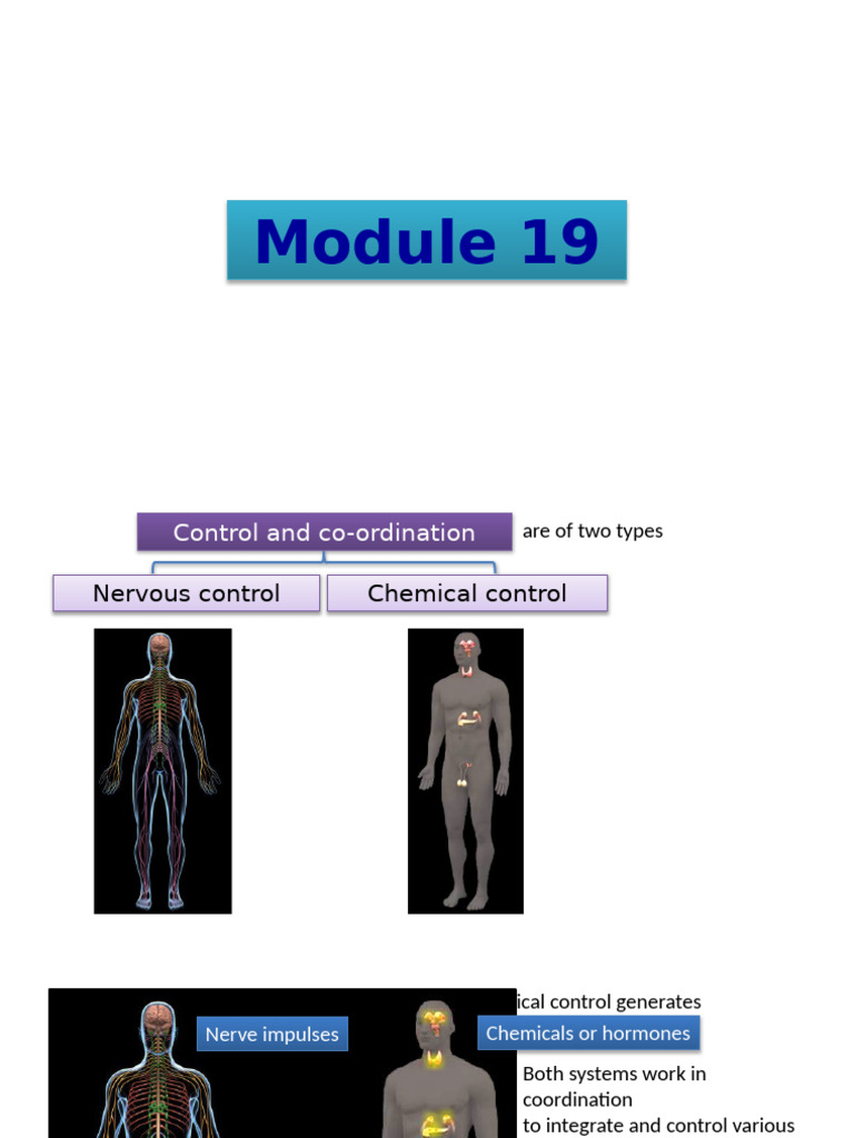 CH 7 Module 19 | PDF