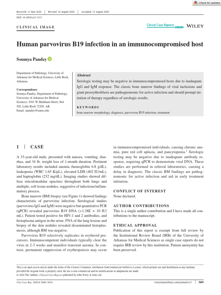 Human Parvovirus B19 Infection in An Immunocompromised Host | PDF ...