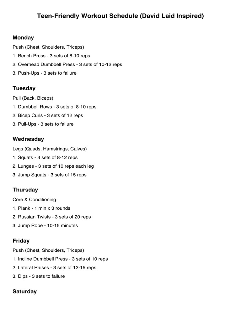 Teen Workout Schedule Inspired by David Laid | PDF