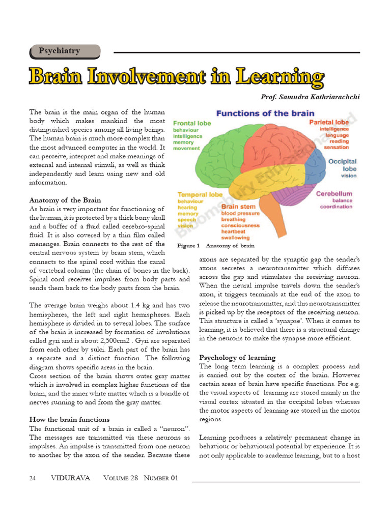 VIDU 28-1-24.PDF Sequence 1 | PDF | Brain | Nervous System