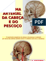 33 Sistema Arterial