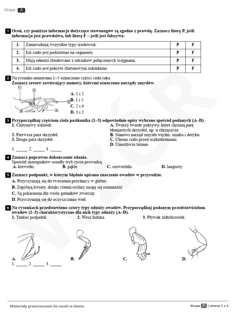 Biologia - Klasa 6 - Dział 3 - Test | PDF