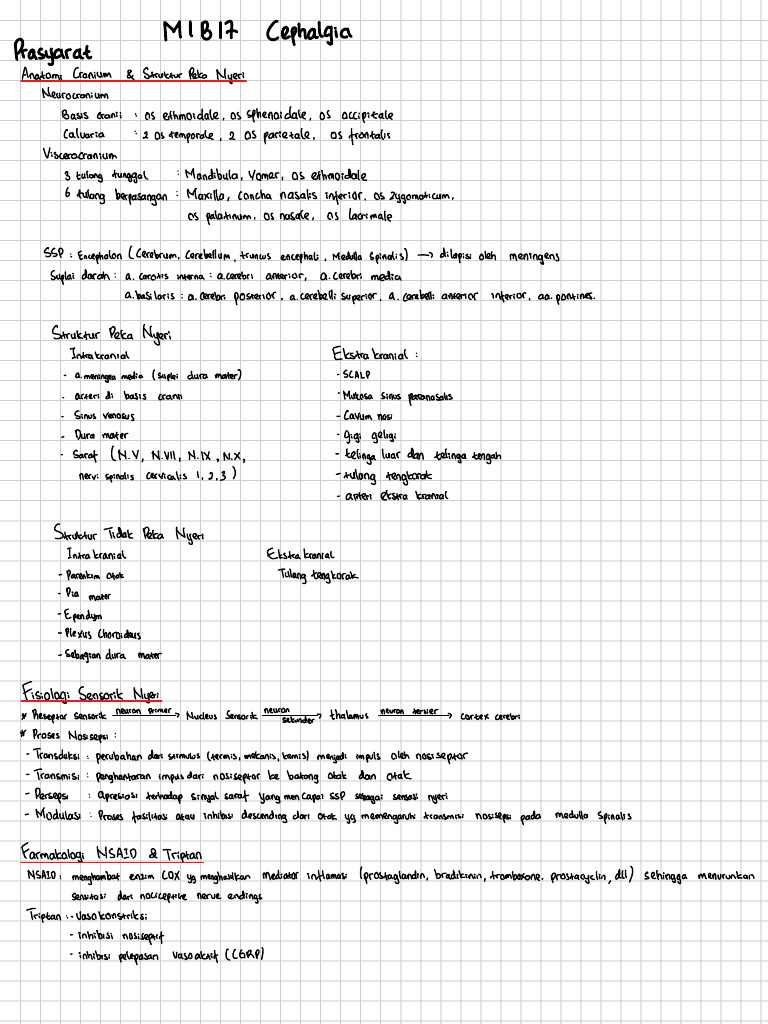 Cephalgia JHC | PDF