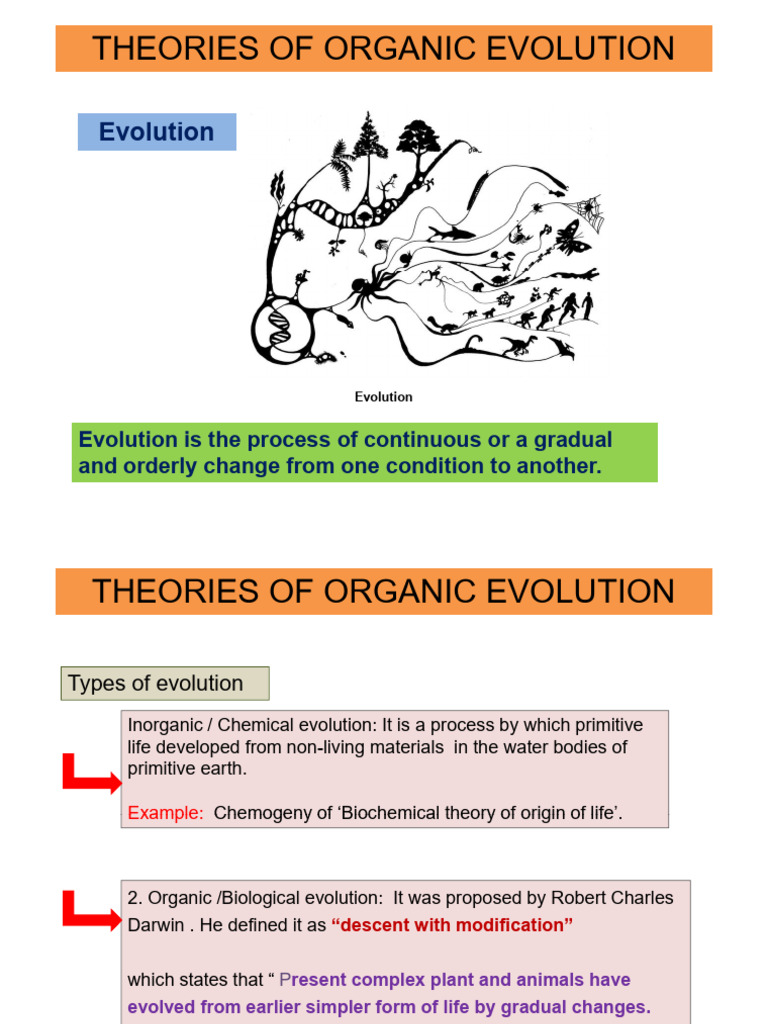 Theories of Organic Evolution Explained | PDF | Evolution | Biological ...