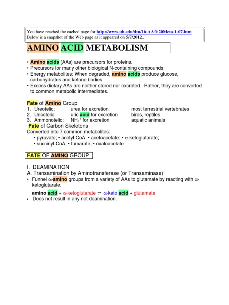 Amino Acid Metabolism | PDF | Metabolism | Biosynthesis