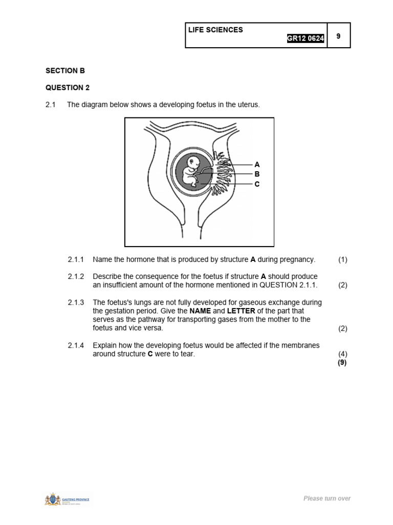 Human Reproduction - GP-FS-NC 2024 | PDF | Menstrual Cycle | Ovary