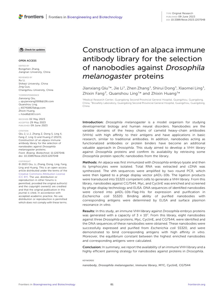 Construction of An Alpaca Immune Antibody Library | PDF | Antibody | Elisa