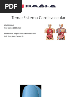 Anatomia do Sistema Venoso Ázigo | PDF | Veia | Coluna vertebral