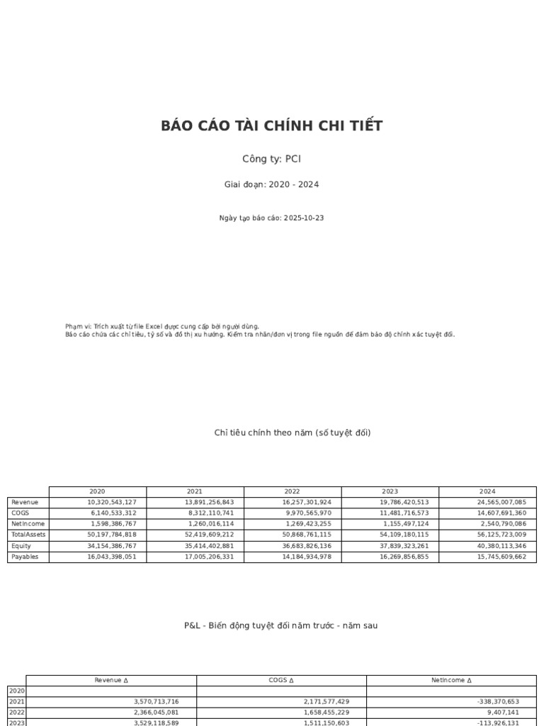 PCI Financial Report 2020 2024 | PDF