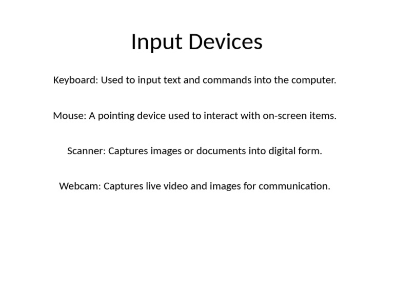 Essential Computer Input Devices | PDF