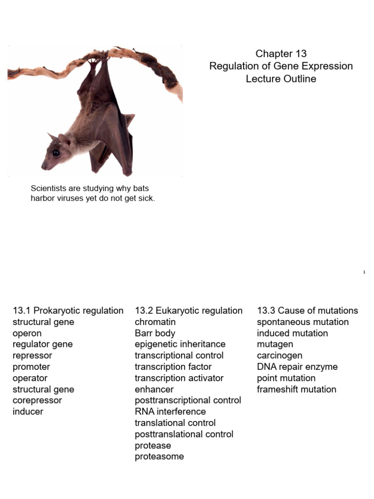 Gene Expression Regulation Overview | PDF | Operon | Repressor