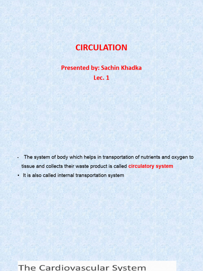 Understanding Human Circulation System | PDF