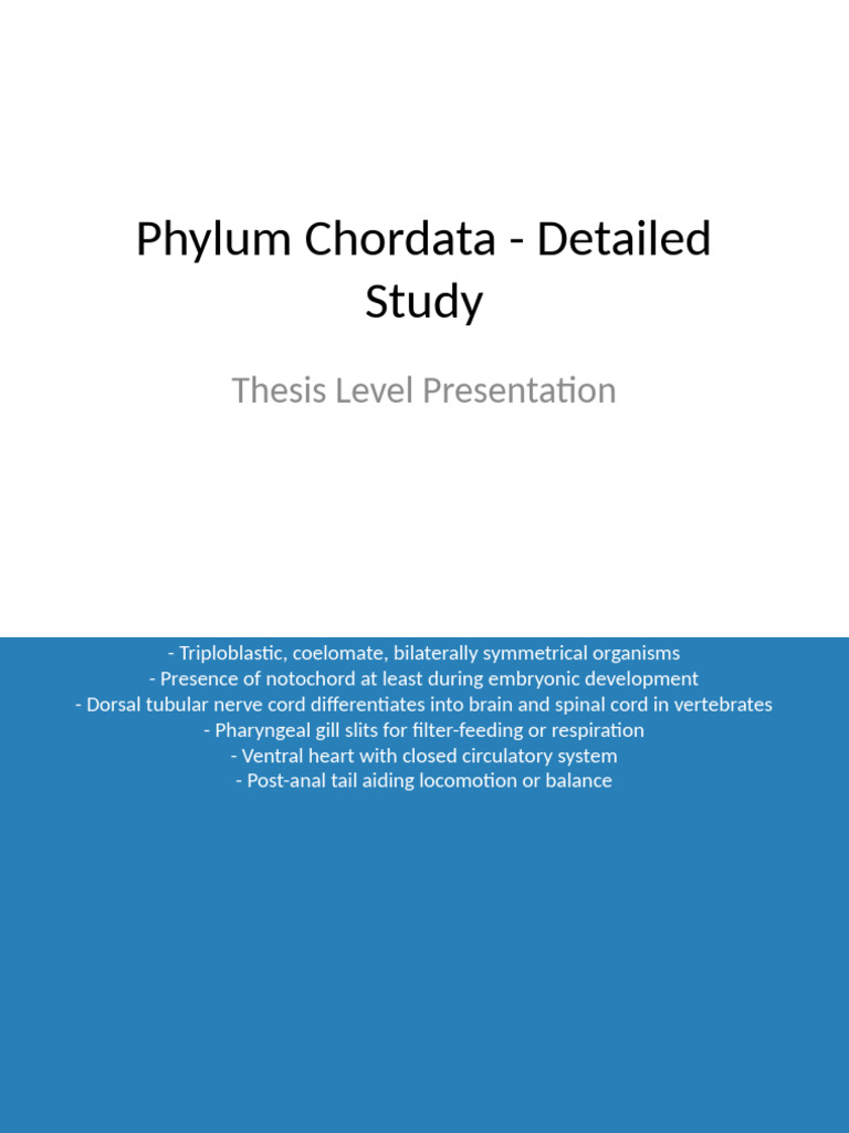 Phylum Chordata Thesis Level Presentation | PDF | Vertebrates | Biology