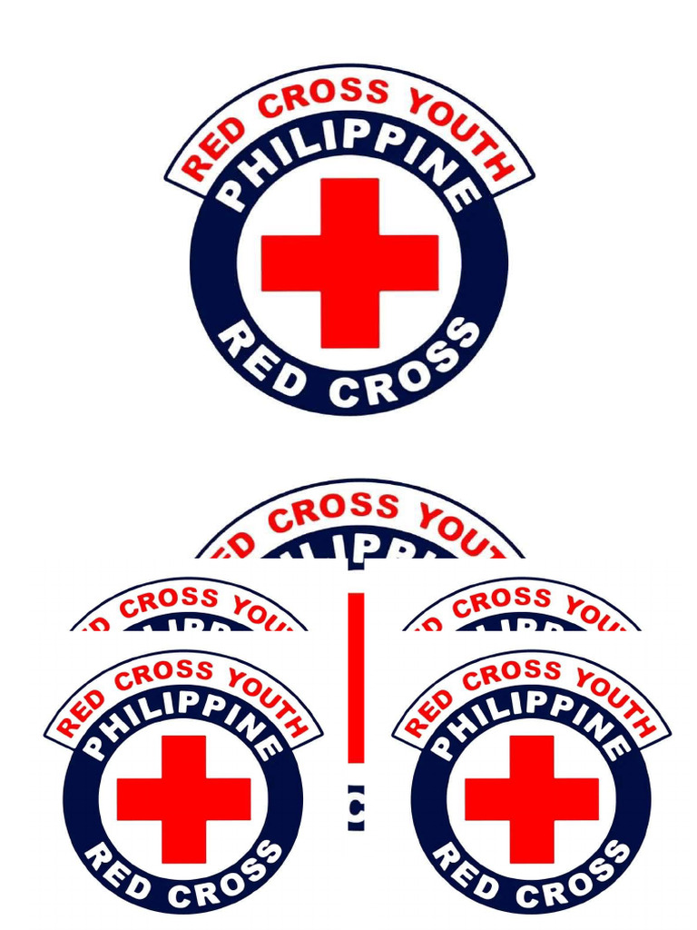 Rcy Flag | PDF