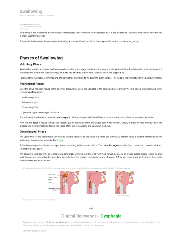 Swallowing - Phases - Control - TeachMePhysiology | PDF
