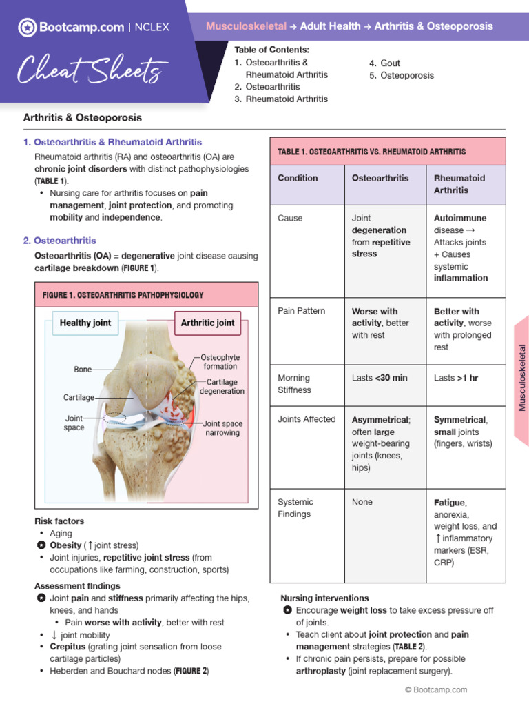 Arthritis and Osteoporosis Guide | PDF | Osteoarthritis | Arthritis
