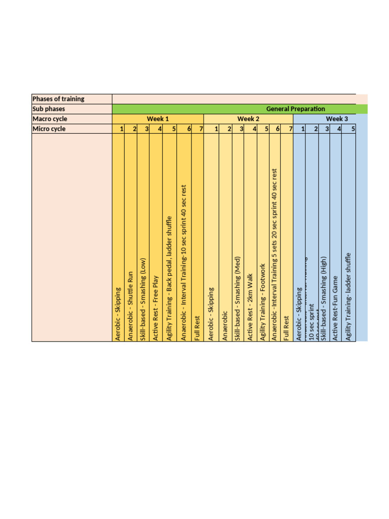 Comprehensive Training Phases Guide | PDF | Terrestrial Locomotion ...