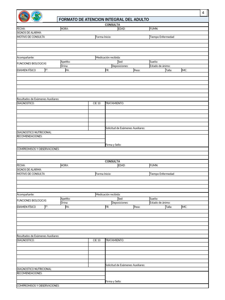 Formato de Consulta Médica Integral | PDF | Examen físico ...