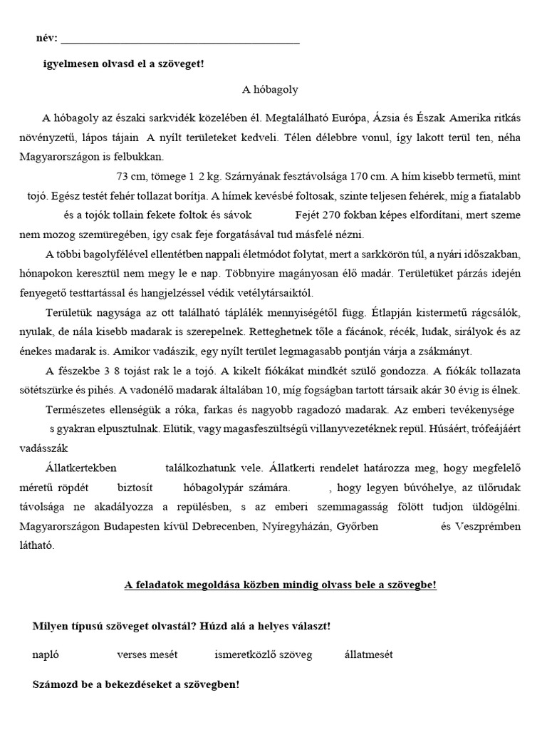 Szövegértés 4.o. A Hóbagoly | PDF