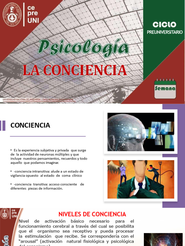 Niveles y Tipos de Conciencia 2024 | PDF | Atención | Coma