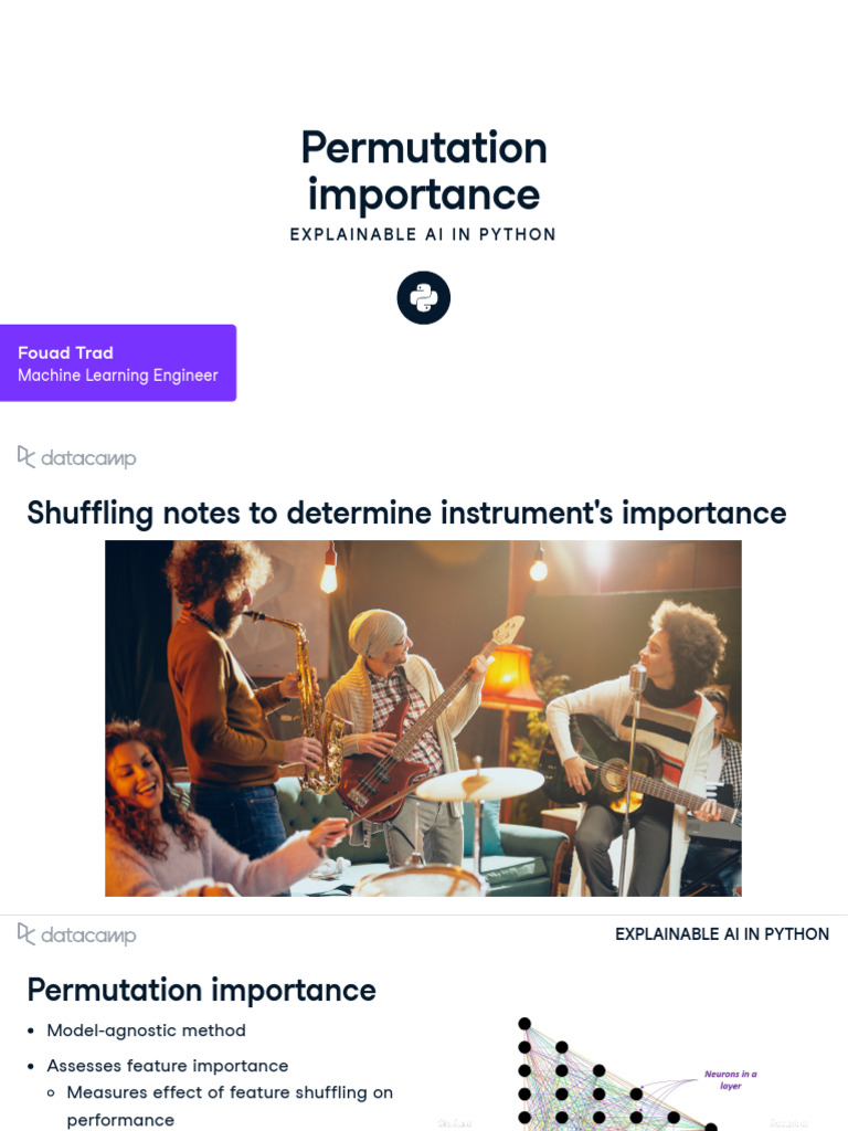 Permutation Importance in Python AI | PDF | Machine Learning | Cognition
