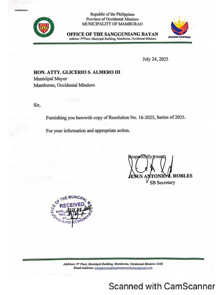 Resolution No. 16 2025 Declaration of ST | PDF
