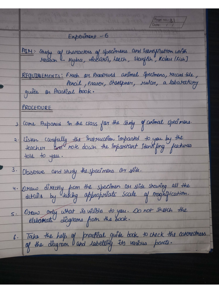 Experiment | PDF
