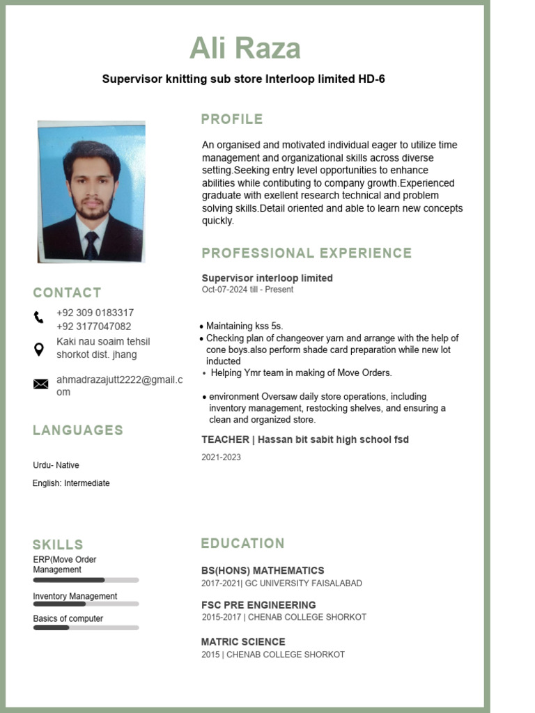 Ali Raza CV - PDF 1 | PDF