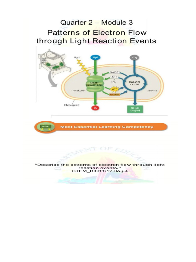 Thursday Oct 2 Quarter 2module 3 Pattern of Electron Flow | PDF