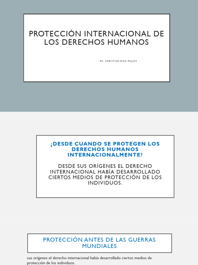 Semana-Proteccion de Los DDHH | PDF | Derechos humanos | Derechos