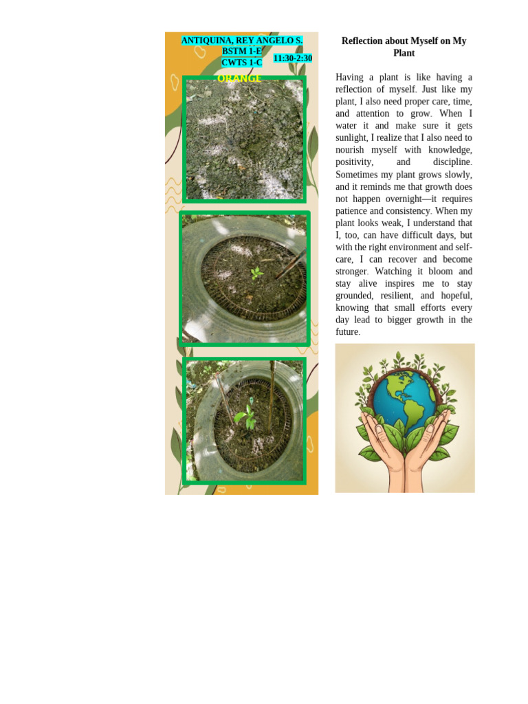 Personal Growth Reflected in Plant Care | PDF