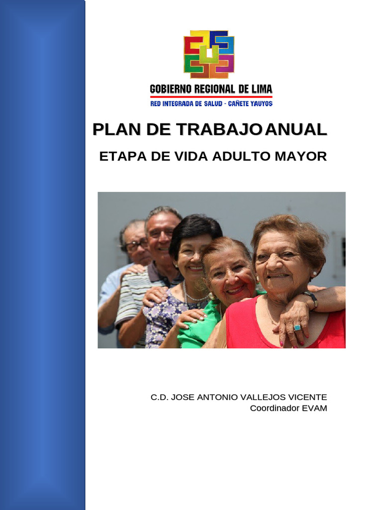 Plan de Salud para Adultos Mayores en Cañete Yauyos | PDF | Adultos ...